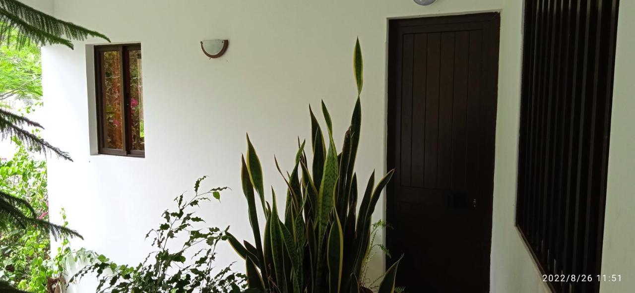Ferienwohnung Damontanha 2 Ribeira Grande Exterior foto